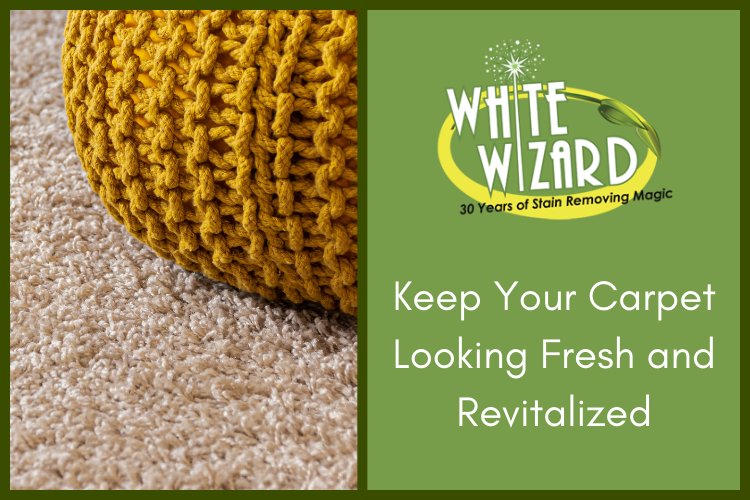 Keep Your Carpet Looking Fresh and Revitalized