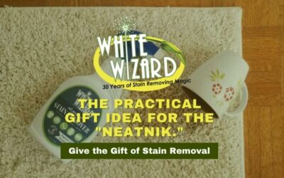 The Practical Gift Idea for the “Neatnik.” Give the Gift of Stain Removal